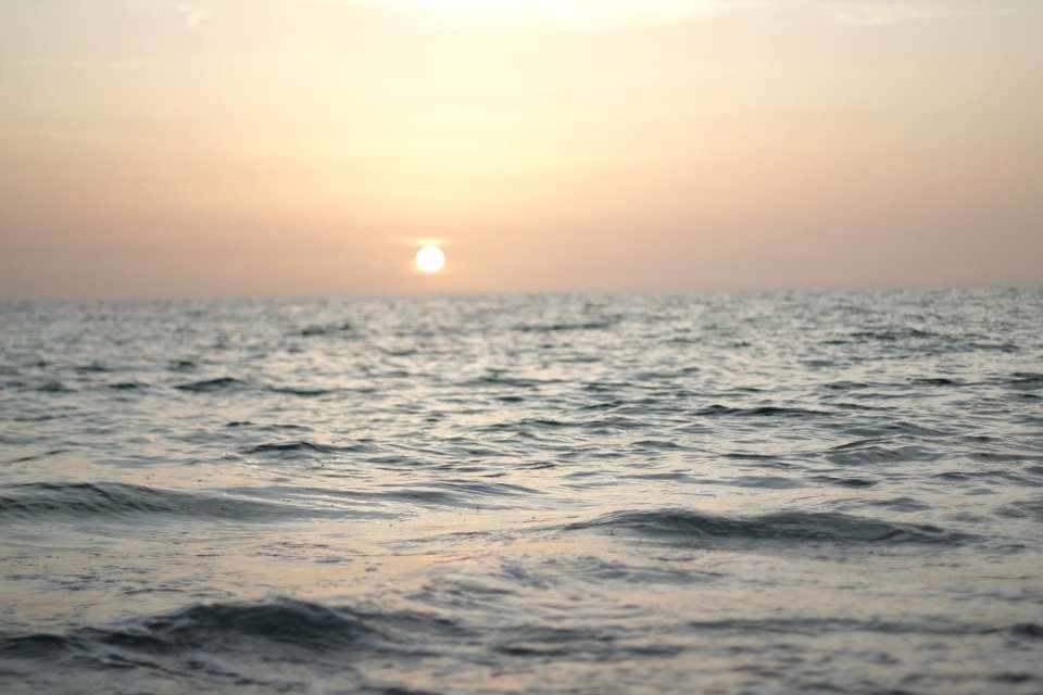 Evening, Shallow focus, Water