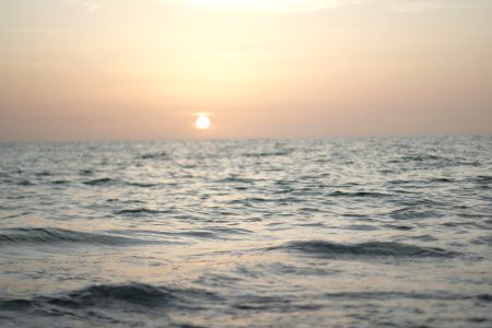 Evening, Shallow focus, Water