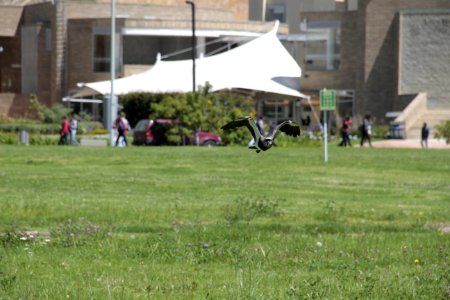 Militar university of new granada, Colombia, Flight