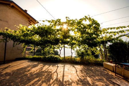 Pregasina, Italia, Italy