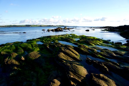 Sola beach, Norway, Moss photo