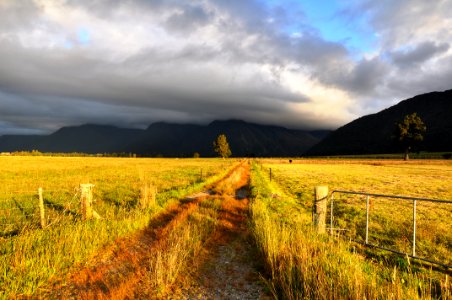 New Zealand, Meadow, Sunset photo