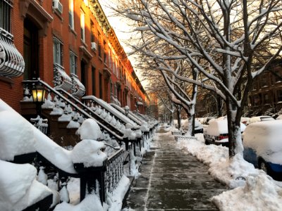 Park slope, New york, United states photo