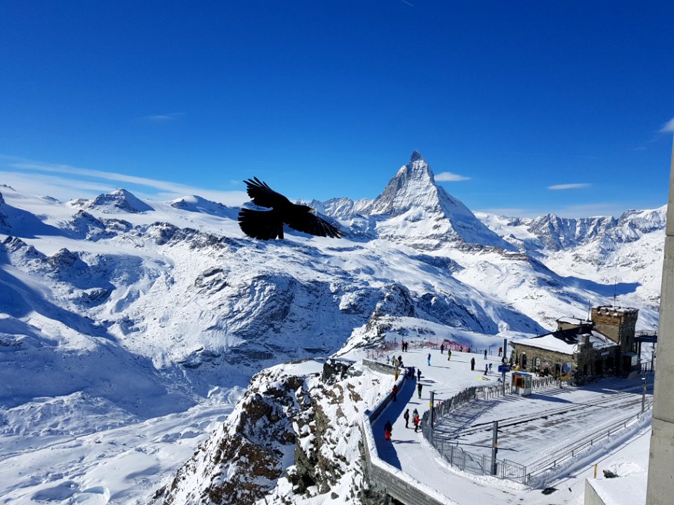 Gornergrat, Zermatt, Switzerl photo