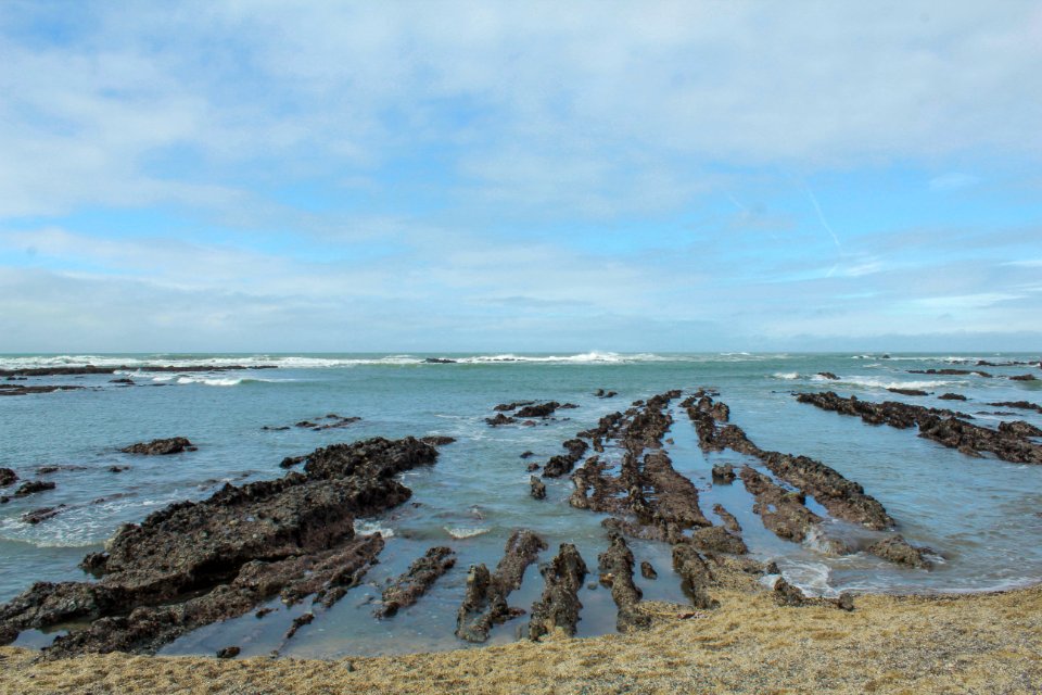 Fitzgerald marine reserve, Moss beach, United states