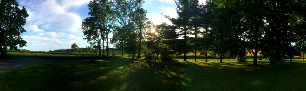 Outdoor, Sunset, Trees