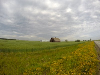 Sky, Nature, Barn