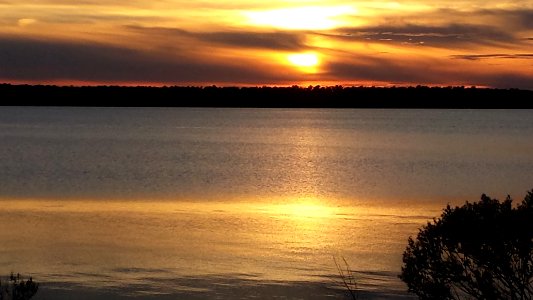 Jacksonville, United states, Coastline