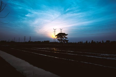 Troll, Farmer, Trees photo