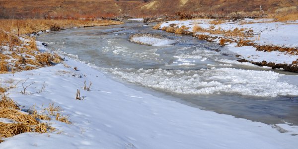 Fish creek provincial park, Calgary, Canada