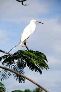 Mexico, Villahermosa, Tabasco