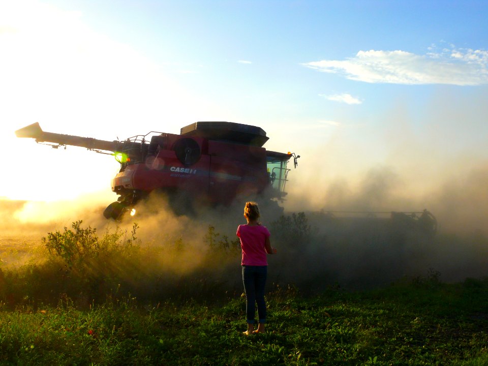 Prairie, Daughter, Dusk