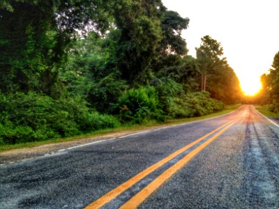 Trees, Open, Highway photo