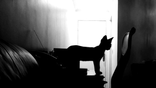 So paulo, Brazil, Shadow