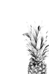 Minimalism, Black, White