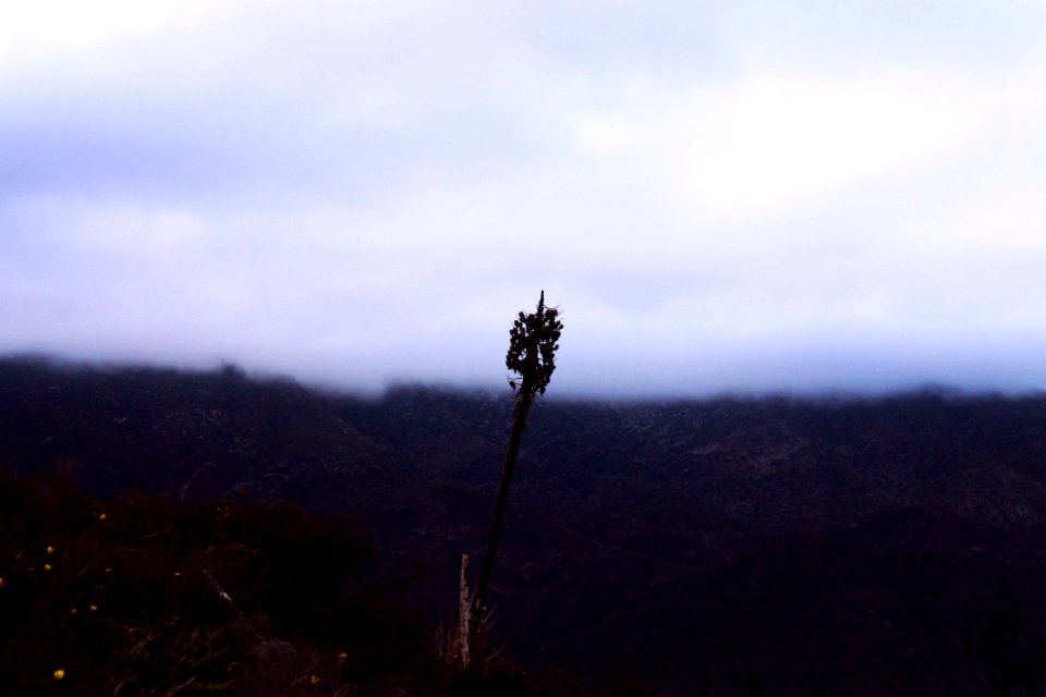 Ensenada, Mexico, Explore