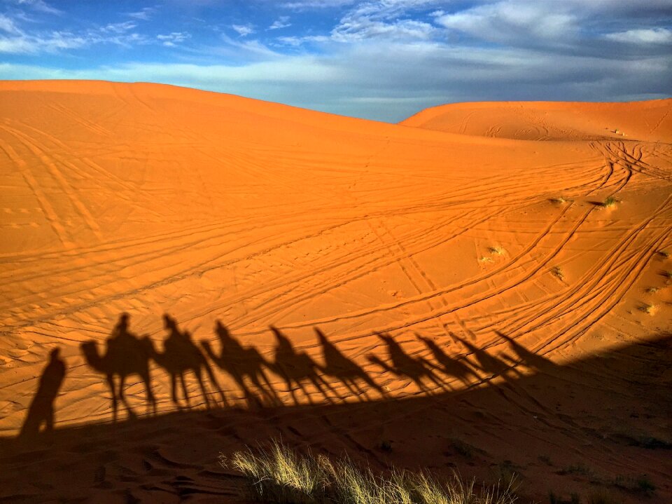 Sand africa nature photo