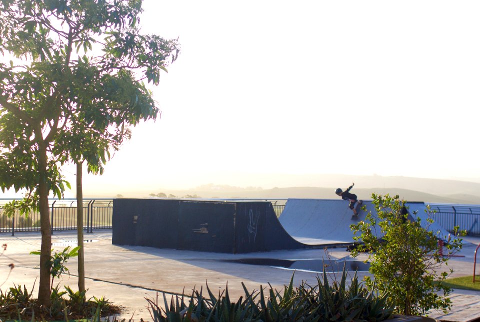 Trees, Skate
