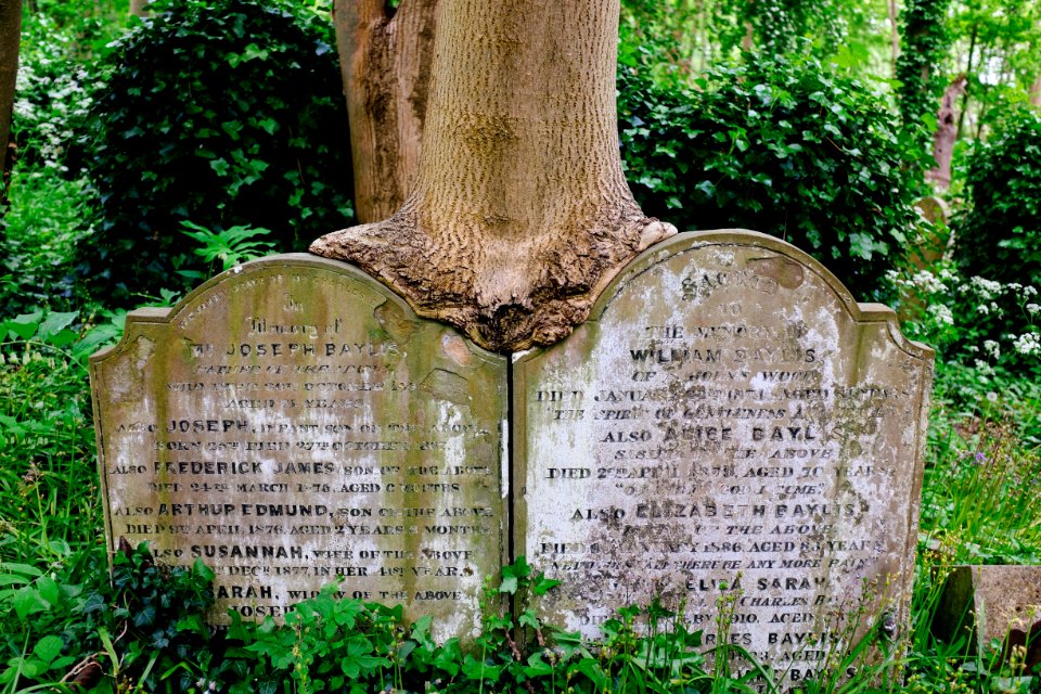 Highgate cemetery, London, United kingdom