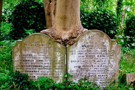 Highgate cemetery, London, United kingdom photo