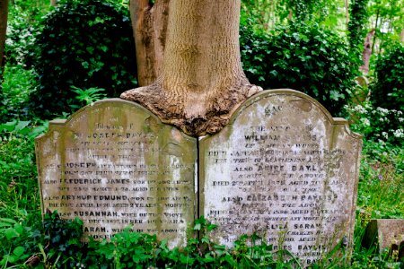 Highgate cemetery, London, United kingdom