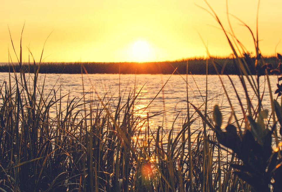 Golden, Water, Sunset