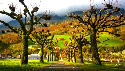 Switzerl, Alpnachstad, Alpnach