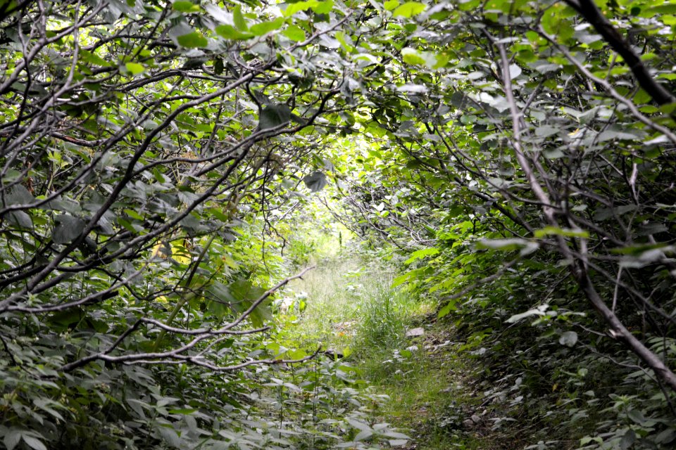 Money point road, Saint margaret village, Canada