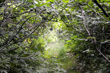 Money point road, Saint margaret village, Canada