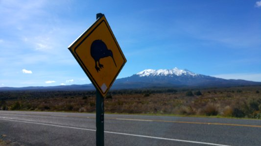 New Zealand, In new zeal