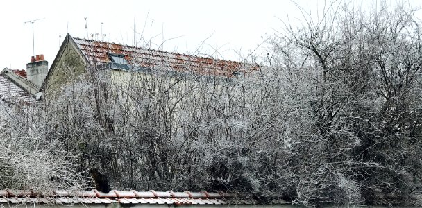 Reims, France, Nature