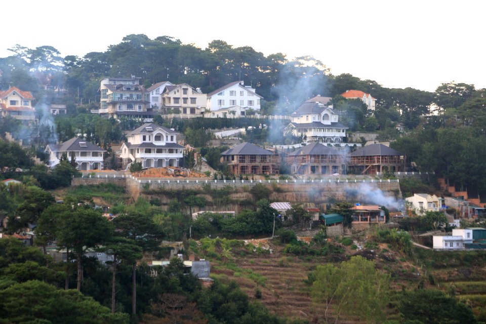 Dalat, Vietnam, Forest