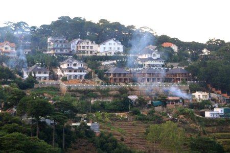 Dalat, Vietnam, Forest