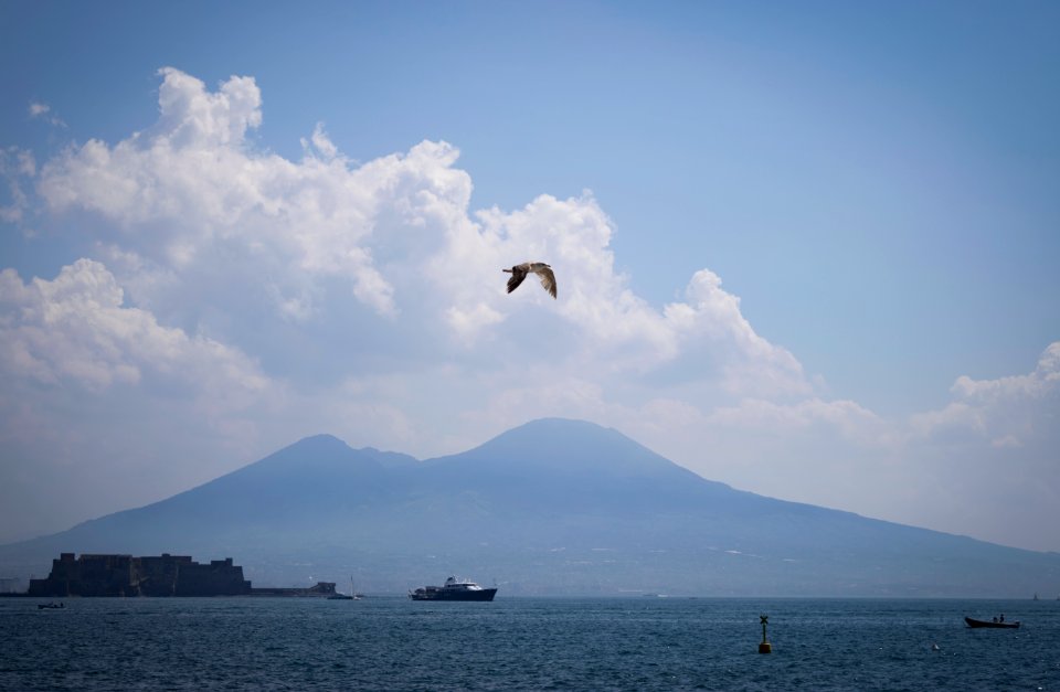 Italy, Mergellina, Fly