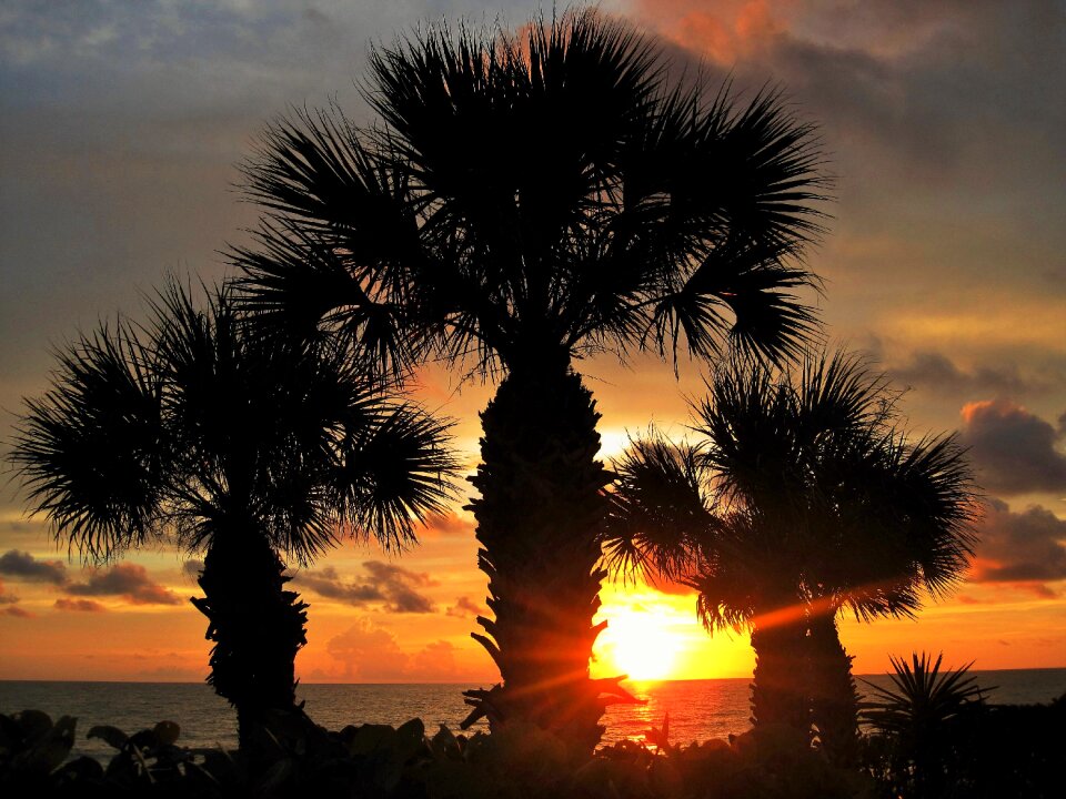 Caribbean gorgeous romantic