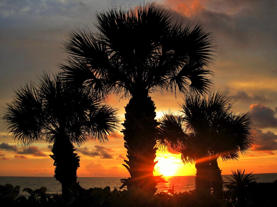 Caribbean gorgeous romantic photo