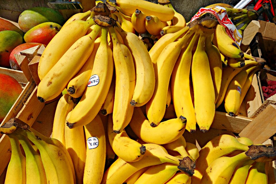Nutrition bunch fresh