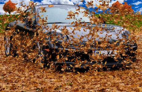 Forward flying fall foliage