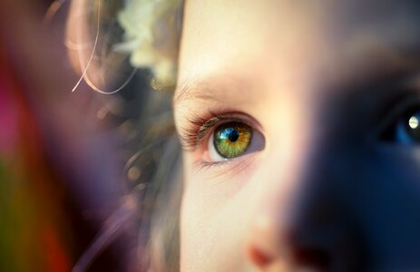 Look view optics