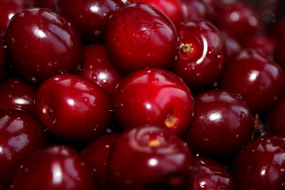 Food fruits close up
