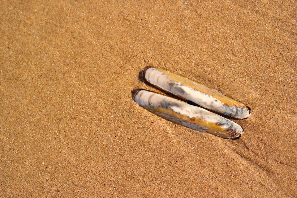 Beach sand coastal summer