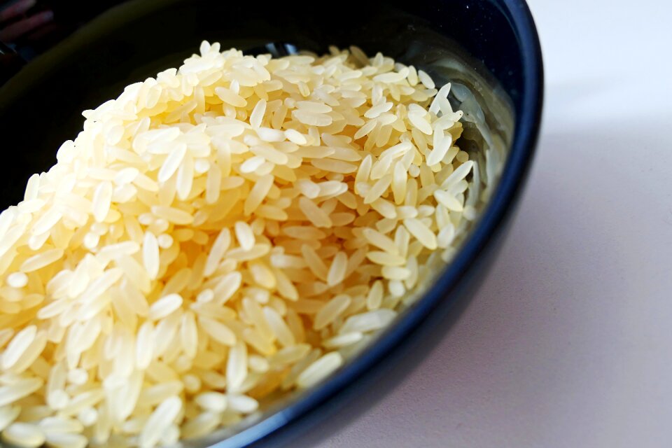 Food rice plate eat
