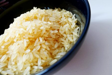 Food rice plate eat