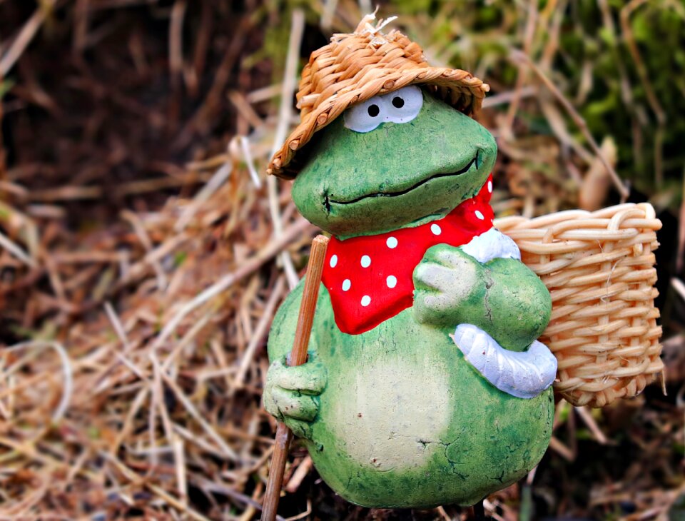 Gardening spring frog