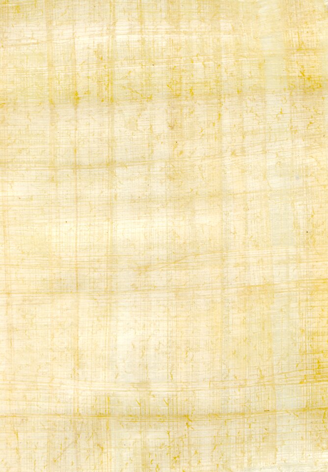 Texture papyrus rau photo