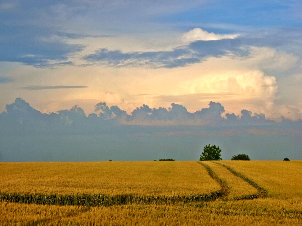 Sky clouds landscape sunset