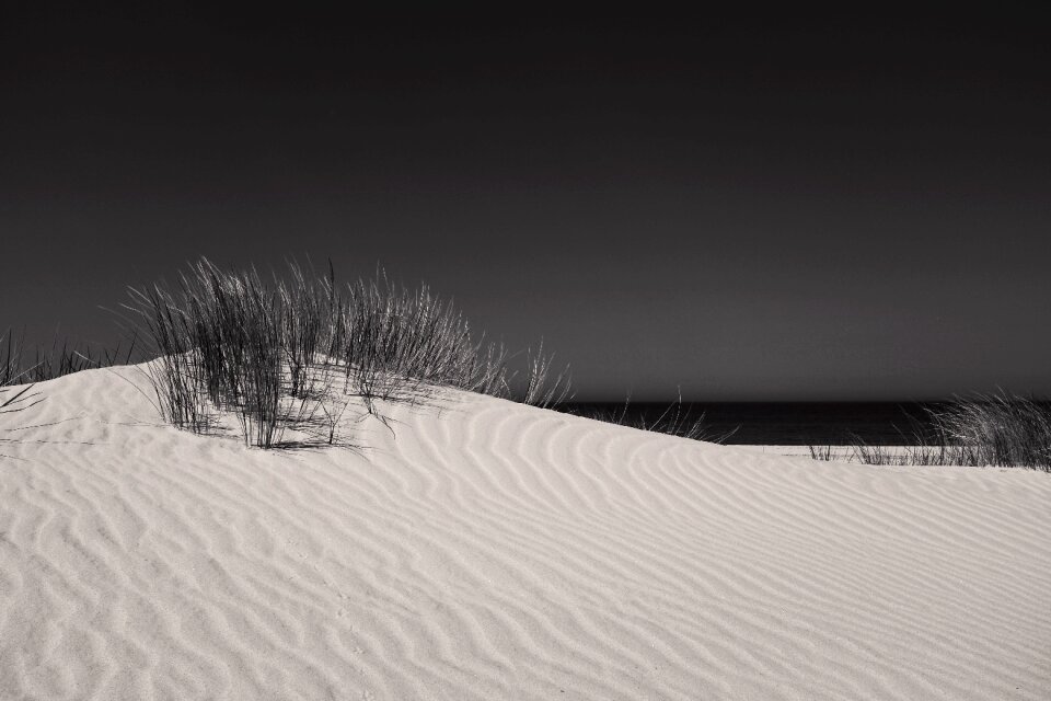 Sand gray grass gray night