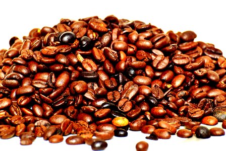 Roasted caffeine brown photo