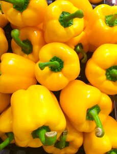 Seiyu ltd living supermarket