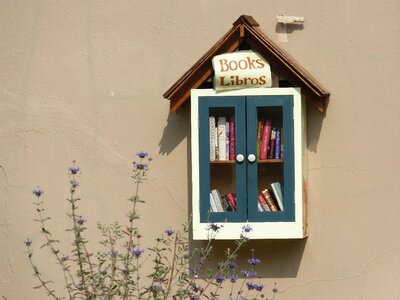 Little library free books brown book